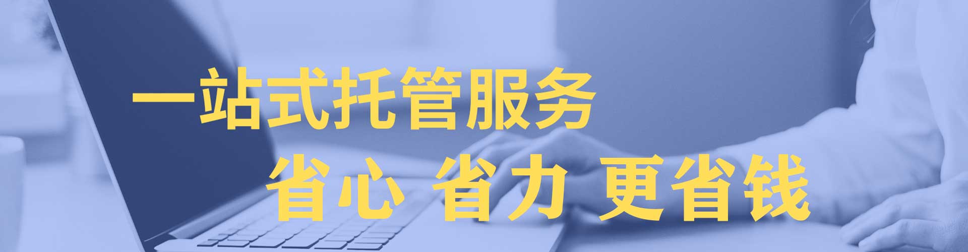 九龙城竞价托管